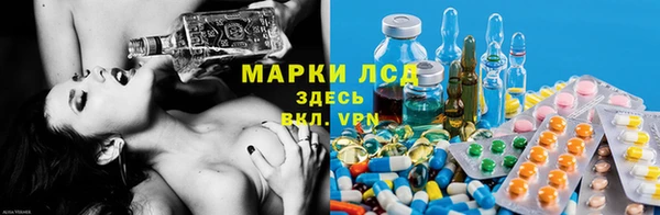 сатива Магас