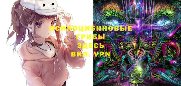 сатива Магас