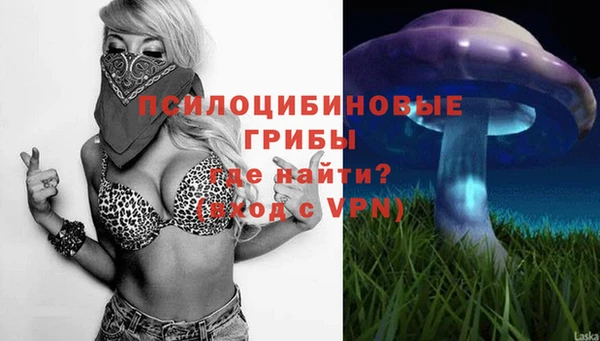 сатива Магас