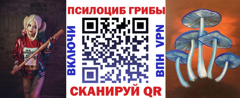 как найти закладки  Адыгейск  Галлюциногенные грибы прущие грибы 